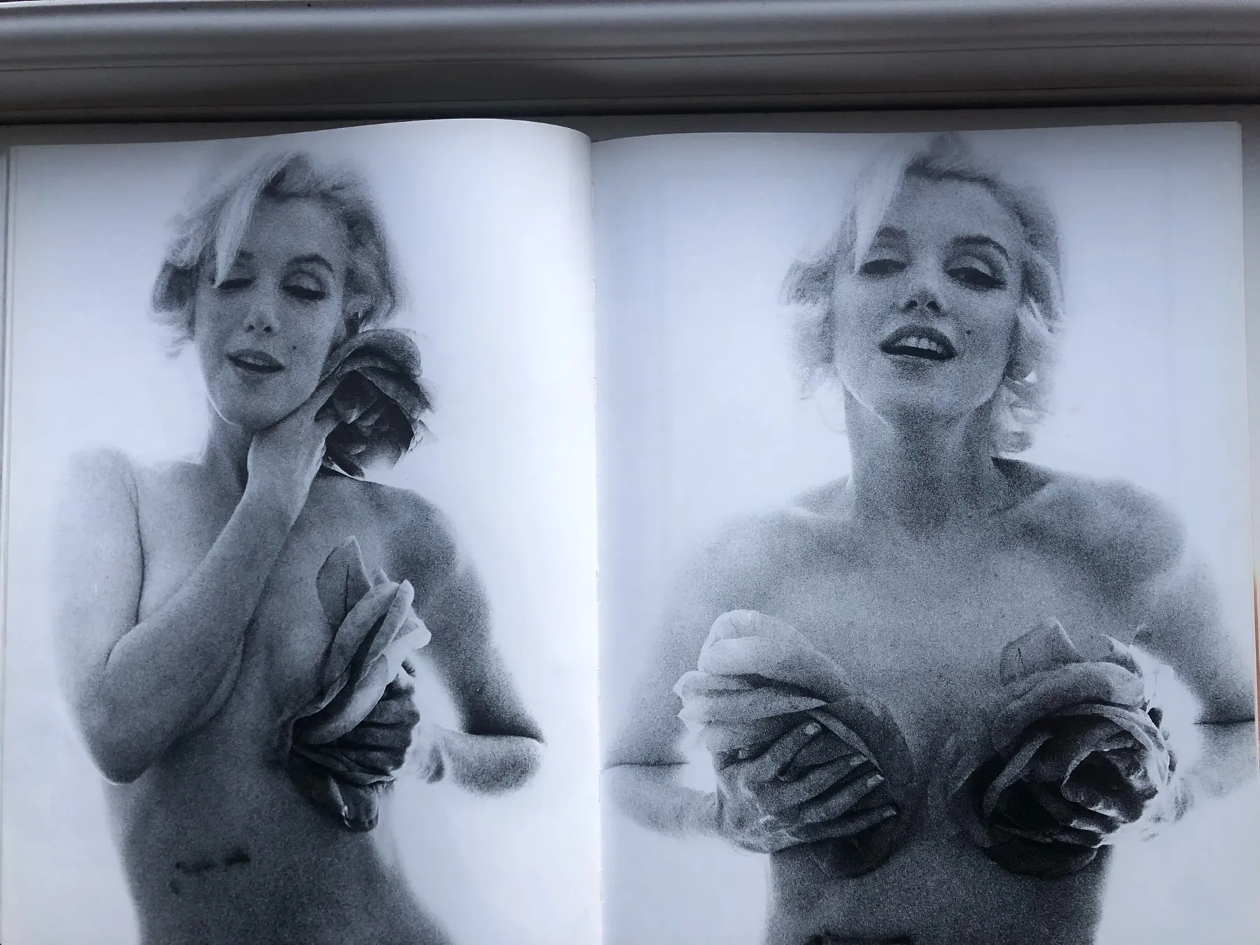 Bert Stern / Marilyn Monroe - The Last Sitting