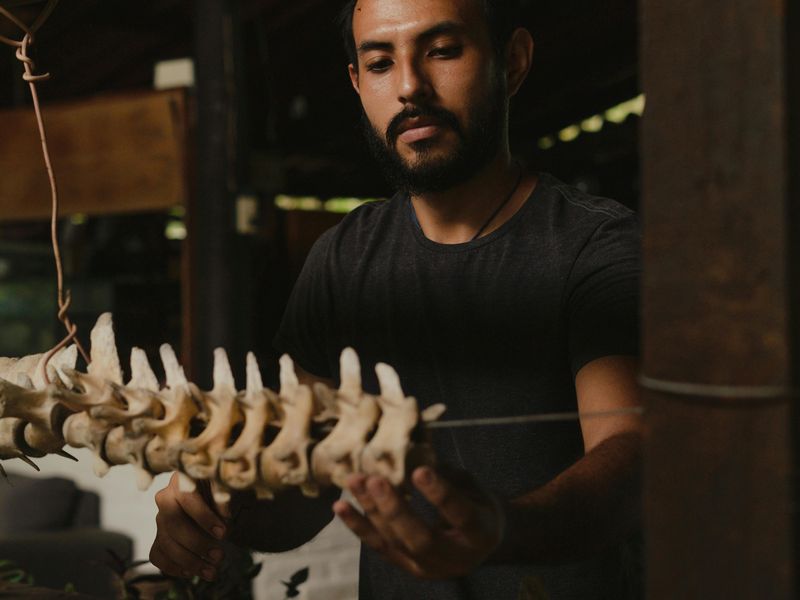 pexels cristian rojas